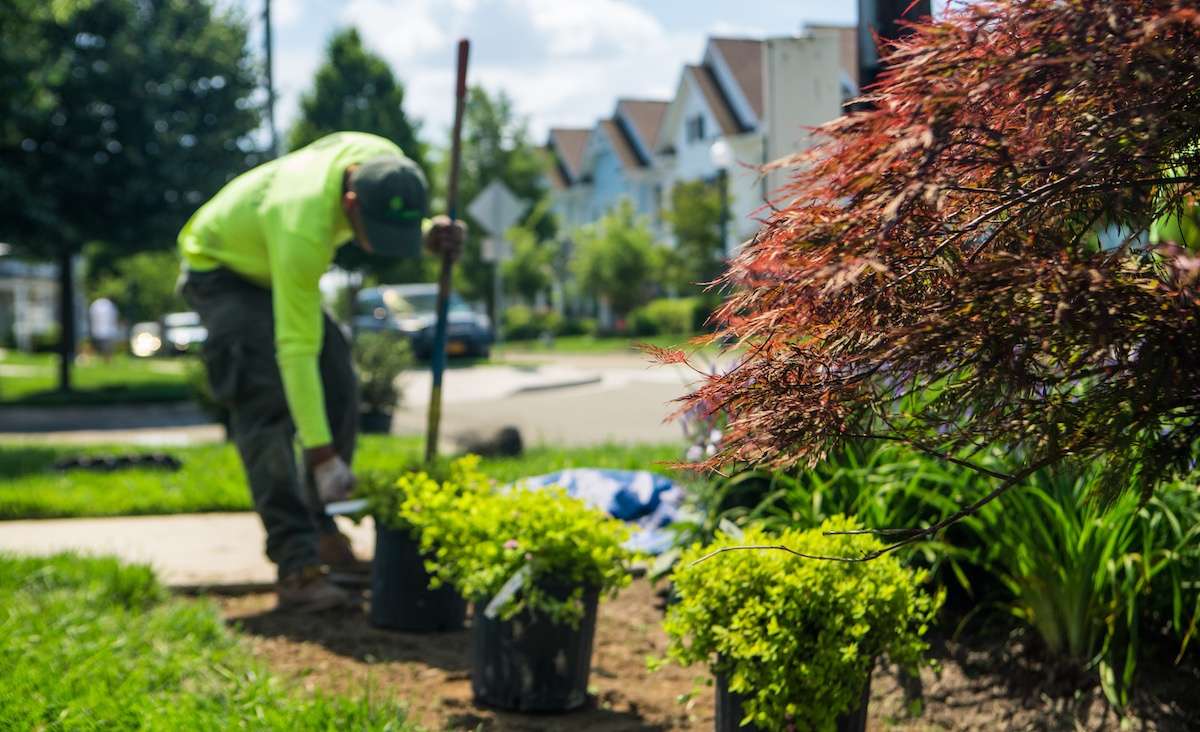 JW Landscaping team planting a landscape bed in Northern Kentucky